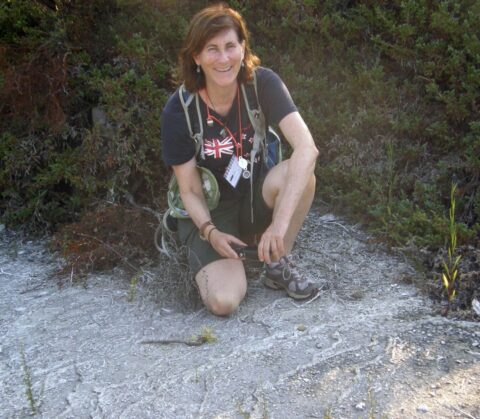 Professor Kathy Campbell